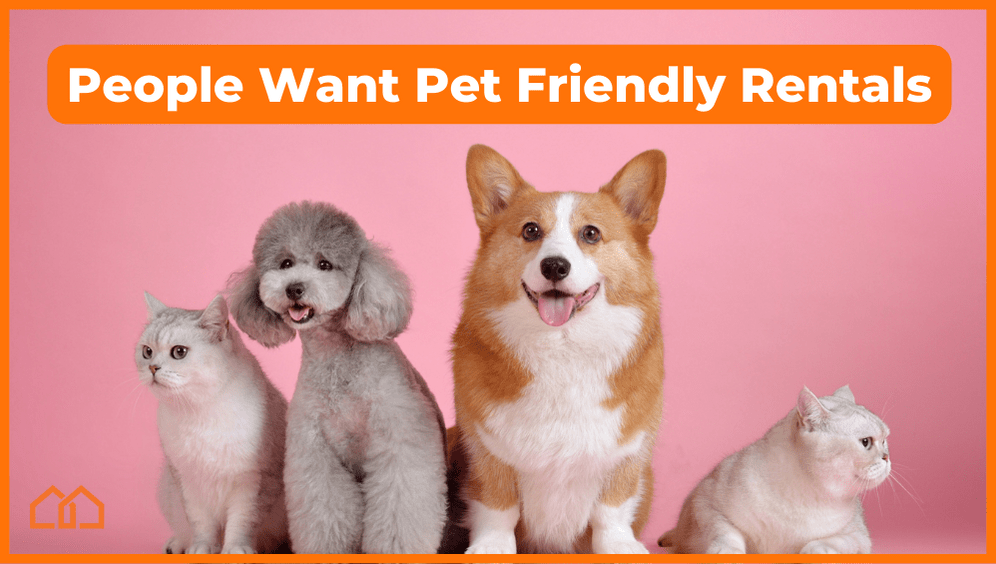 pet friendly rental homes